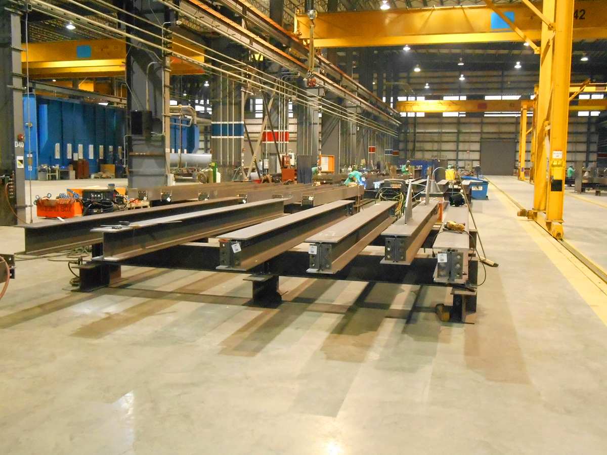 Interior Renovation with modern living room and plants