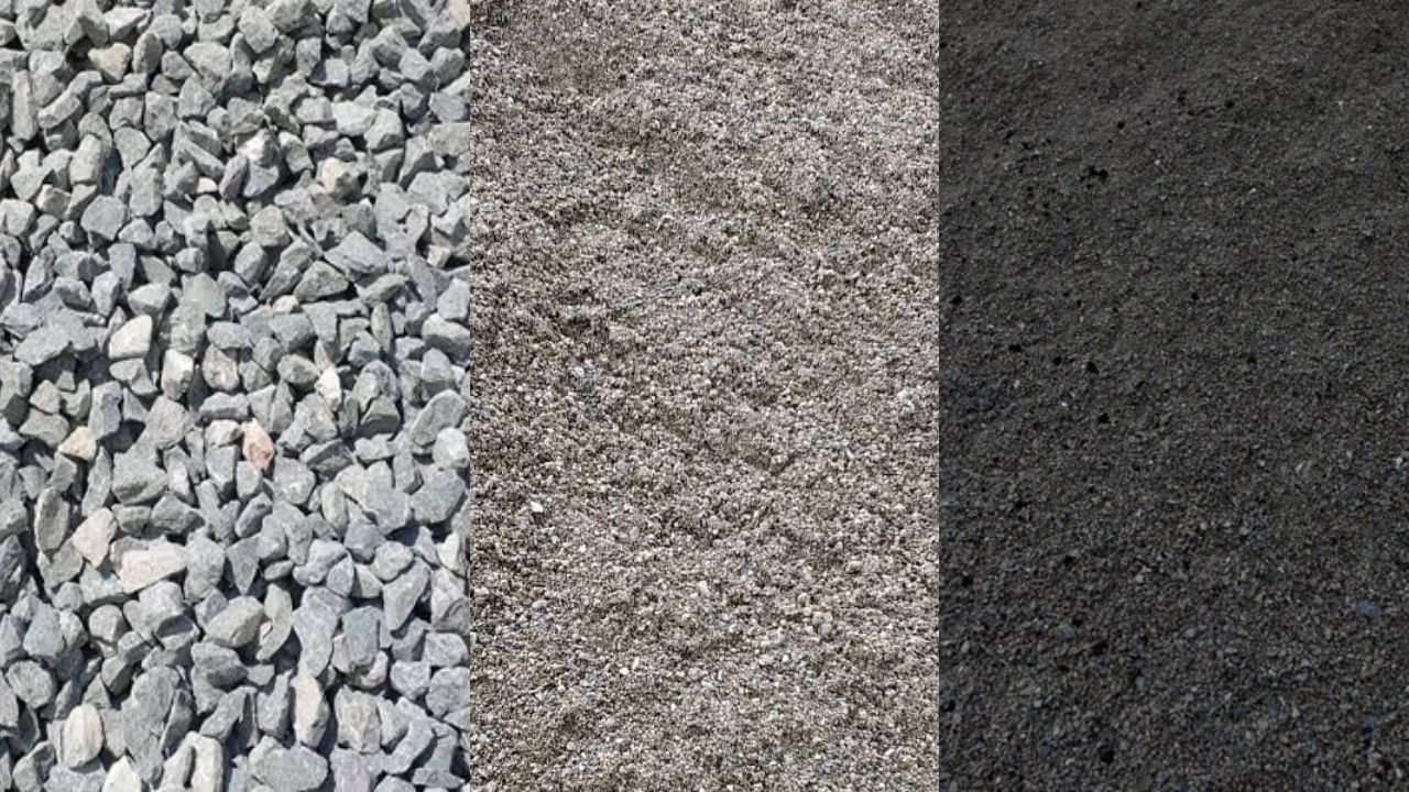 Interior Renovation with modern living room and plants